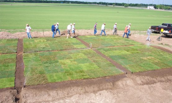 Several men working at a plot project