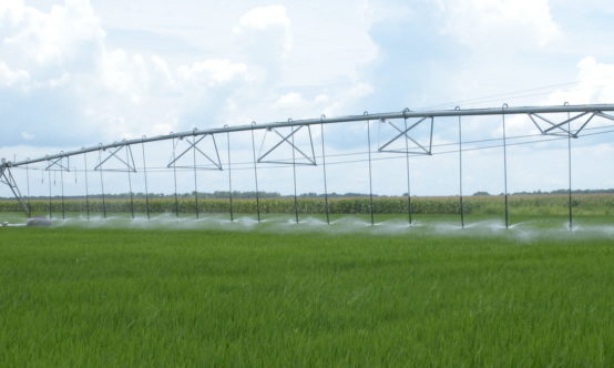 A center pivot distributing water over a plot over a large area.